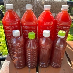 PSB（特濃）600ml