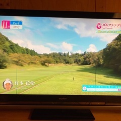 SONY  KDL-46と　L BDZ-L95