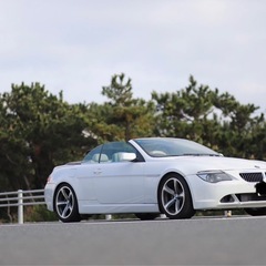 日本最安値　スプレーガン塗装オールペンで最安3万円も！　全塗装　