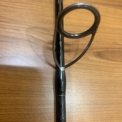 シーバスロッド　エクスセンスの画像