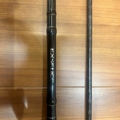 シーバスロッド　エクスセンスの画像
