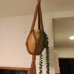 フェイクグリーン