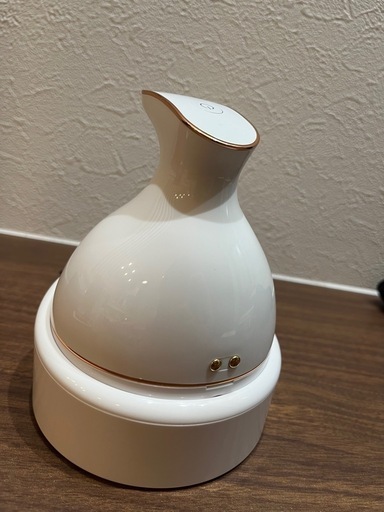 WorldLI Home Product(ワールドエルアイホームプロダクト) 頭皮マッサージ器 KAS-1