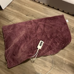 フランフラン　電気毛布