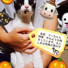 10月20日(日)🎃すみれペットクリニック様にて『立川地域猫の会...