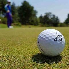 【札幌周辺】ゴルフ仲間募集中⛳️✨