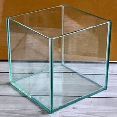 小さなキューブ ガラス水槽【USED】16×16×16  観賞魚...