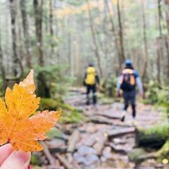 【東京】登山仲間募集中🏞✨