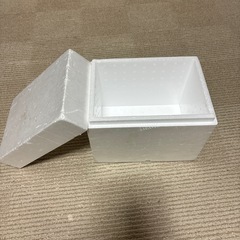 蓋付き発泡スチロール箱の画像