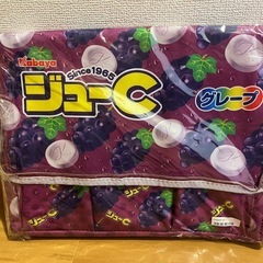 ジューC保温保冷BIGマルチバッグの画像