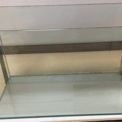 お渡し予定60㎝オールガラス水槽