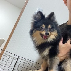 困りごとをなんでもお手伝いします！