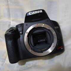 良品　canon eos kiss X2　➕バッテリー➕充電器
