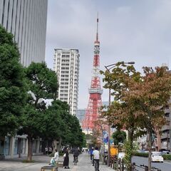 東京のことば   標準語  イントネーション  【電話 スクール...