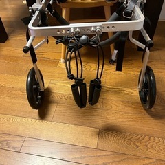 【決まりました】大型犬用歩行器　JON JONの画像