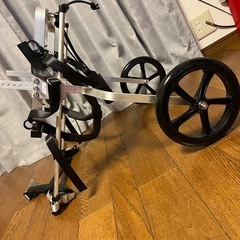 【決まりました】大型犬用歩行器　JON JONの画像