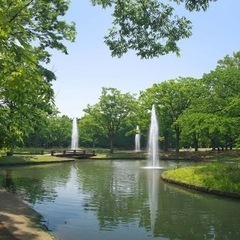 今日10/20 代々木公園でバスケ⛹️