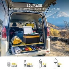 ポータブル保温冷蔵庫 25L CRPRO25（CH)
