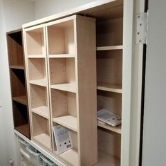 ダブルスライドラックとラック　カラーボックス　収納　漫画本　本棚の画像