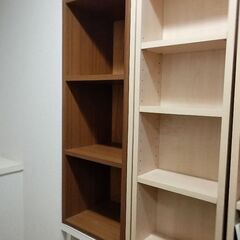 ダブルスライドラックとラック　カラーボックス　収納　漫画本　本棚の画像