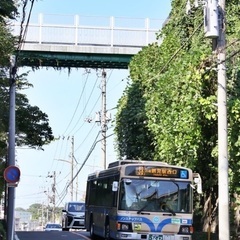 地方から出てきて、鶴見・川崎周辺にお住みの方いませんか？