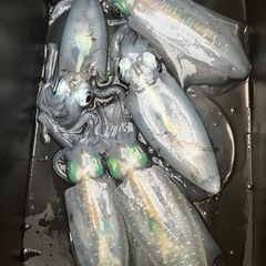 一緒に釣り行きませんか？