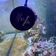 海水魚、サンゴ水流ポンプ