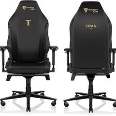 Secretlab TITAN Evo Stealth XLサイズの画像