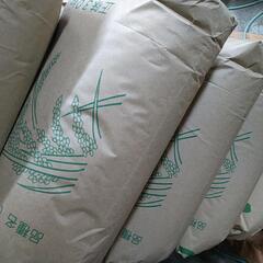 本日限定令和6年新米ヒノヒカリ30kg