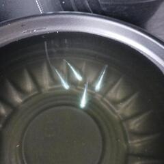 10/20めだか販売の画像