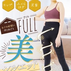 2足セット　ベルミス スリム タイツ L〜LL 着圧タイツの画像