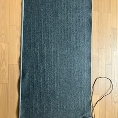 ホットカーペットの画像