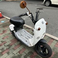 スズキ　チョイノリ