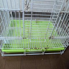 鳥かごの画像