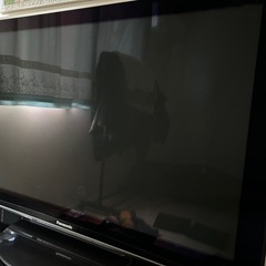 パナソニック　ビエラ　テレビ　50インチ
