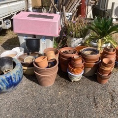 植木鉢いろいろの画像