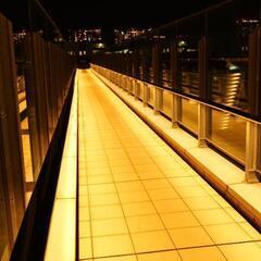 東京湾夜景🏙️&ポートレート撮影モデル募集🎵の画像