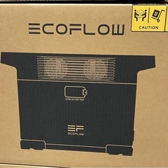 発送可能 Ecoflow DELTA2 24年12月購入　 ポー...