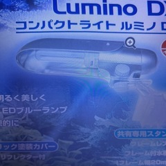 コンパクトライト　格安で
