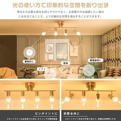 シーリングライト/LED電球付き/アンティーク
