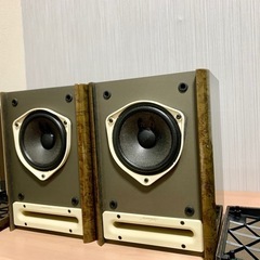 BOSE 121V