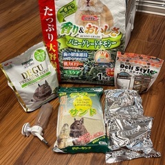 デグーセットの画像