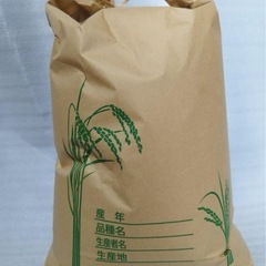 新米ヒノヒカリ玄米10キロ　精米可　お米　