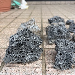 富士山　溶岩石　水草、アクアリウムの画像