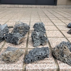 富士山　溶岩石　水草、アクアリウムの画像
