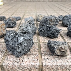富士山　溶岩石　水草、アクアリウムの画像