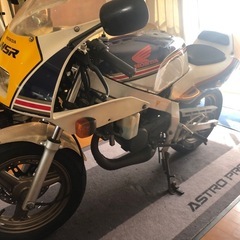 決まりました、たくさんの問い合わせありがとうございました。NSR50の画像