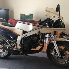 決まりました、たくさんの問い合わせありがとうございました。NSR50