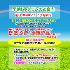 早朝ドッグランやってます（6時半から9時、通常営業11時から17時）