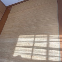 ラグ　ゴザタイプ